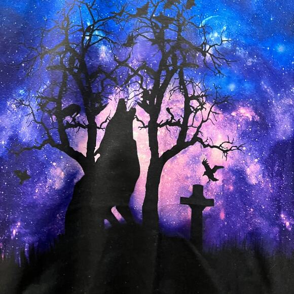 Halloween Spooky Nights Wolf Howling October Blue Hoodie Sweatshirt Sz Medium - Picture 3 of 8